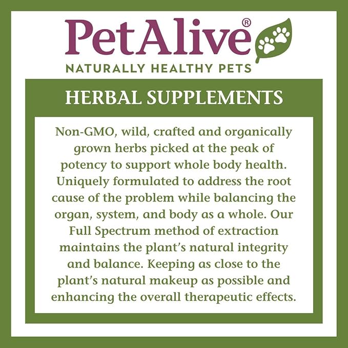 PetAlive Thyro-Pet – Herbal Thyroid Support Supplement for Dogs & Cats - Liquid Formula with Bladderwrack, Nettle, and Astragalus - Plant-Based Daily Drops for Healthy Thyroid Function – 2 oz Tincture