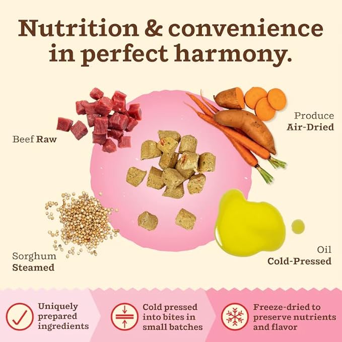 Primal Kibble in The Raw, Freeze Dried Cat Food, Beef, Scoop & Serve, Made with Raw Protein, Whole Ingredient Nutrition, Crafted in The USA, Dry Cat Food, 64 Ounce (4 lb) Bag