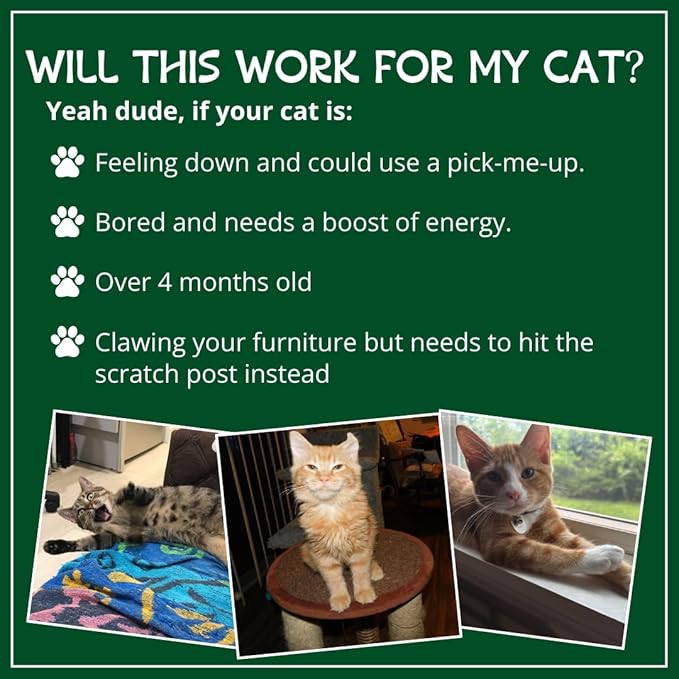 Organic Catnip by Cat Kush, Safe Premium Blend Perfect for Cats, Instilled with Maximized Potency your Kitty is Guaranteed to Go Crazy for! (1 Cup)