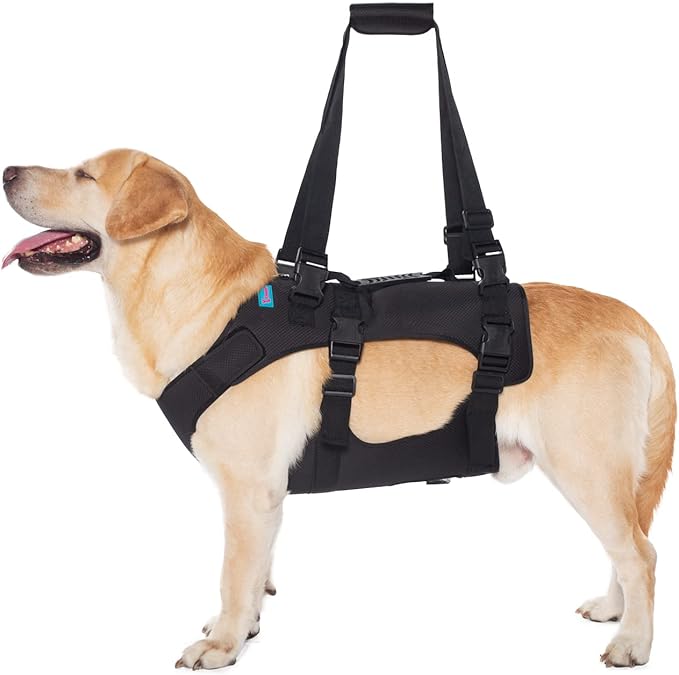 Dog Lift Harness, Rehabilitation Lifts Vest for Dogs, Support & Recovery Sling, Adjustable Breathable Lifting Straps for Old, Joint Injuries, Arthritis, Paralysis Dogs Walk (M, Black)