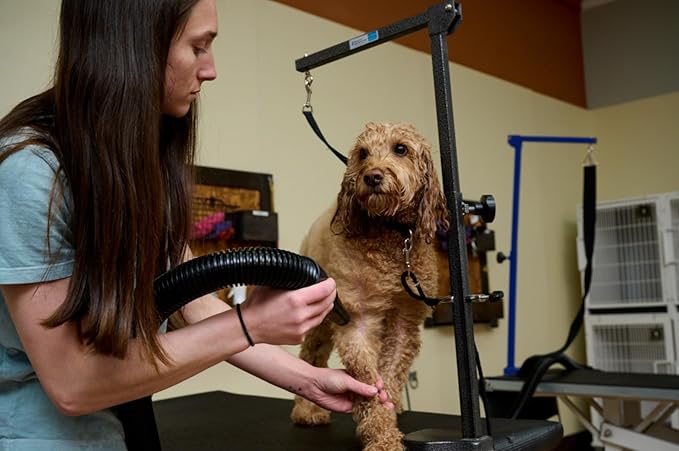 METROVAC MB-3V Air Force Blaster Pet Dryer, Professional Drying, Efficient Cleaner, 4.0 Peak HP Twin Fan Motors, 10 Ft Commercial Hose, Variable Speed