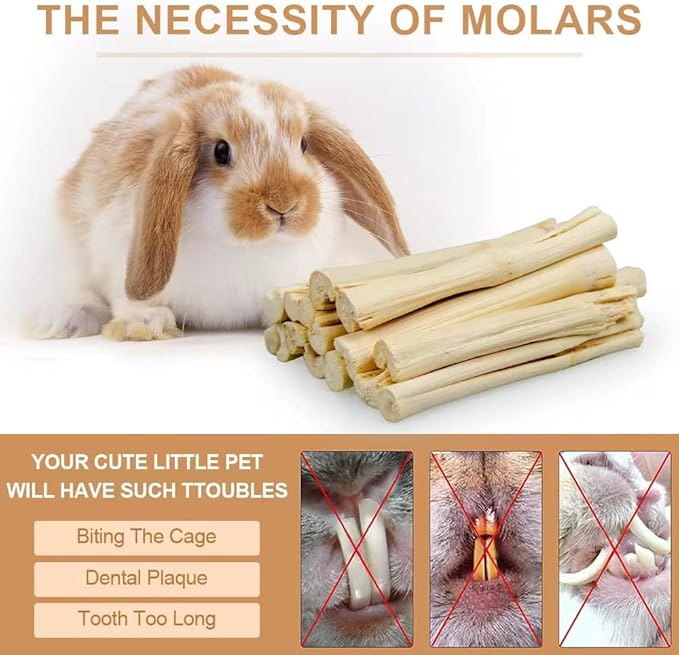 300g Guinea Pig & Rabbit Chew Toys with Apple & Timothy Sticks - Prevent Overgrown Teeth with Sweet Bamboo Treats - Ideal Rabbit Treats Included!