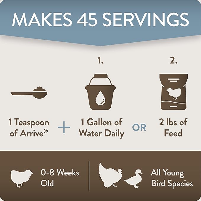Arrive, Daily Probiotic & Prebiotic Water Supplement for Young Chickens 0-8 Weeks Old, 8 oz (Pack of 2)