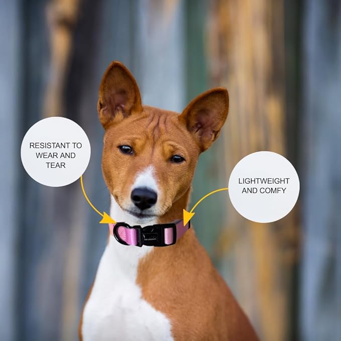 HILLBERRY Dog Collar and Leash Set Adjustable Rainbow Pink Purple Blue Puppy Pet Essentials and Supplies - Size XS