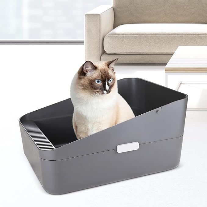 Sfozstra Cats Litter Box Low: Open Sifting Design -Tracking Space Saving - Grey Small Litter Box for Kittens up to 8 lbs