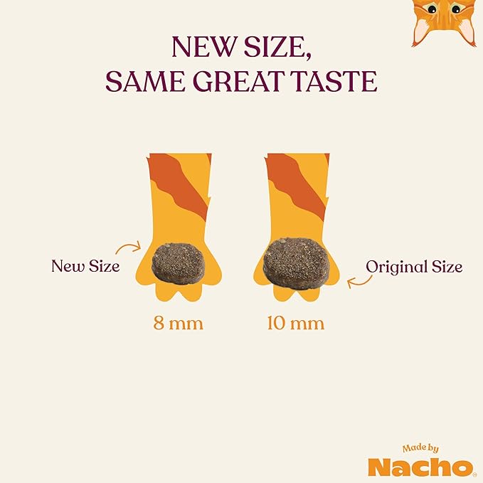 Made by Nacho Dry Cat Kibble 2lb Bag, High Protein and Grain-Friendly Premium Cat Food, Sustainably Caught Salmon and Pumpkin, Infused with Bone Broth for Hydration, Limited Ingredients, Single Bag