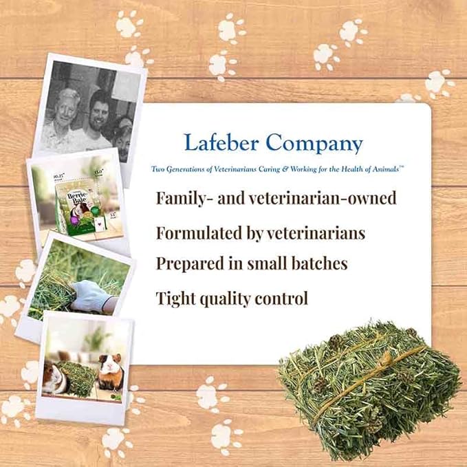 LAFEBER'S Berrie-Bale Mint for Guinea Pigs 1 lb
