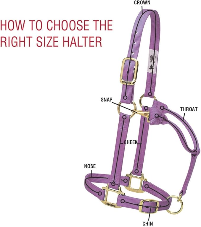 Weaver Equine Nylon Horse Halter, Triple-Ply Cheek Design, Original Non Adjustable Halters for Horses, Equine Tack,Average Size, Black
