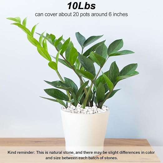 Aquarium Gravel,Landscaping Pebbles, Decorative Ornamental Pebbles Garden,Landscaping Stones Gravel Filler for Home Decoration Flower Bed Fish Tank Plants Vases Succulents (10 Pounds, White)