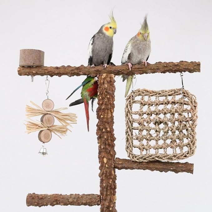 Natural Wood Parrot Stand - Ideal Toy & Accessory for Parakeets, Canaries, Cockatiels, Conure, Lovebirds - Bird Perch Stand with Removable Tray Climbing Net Chewing Toys- Perfect Pet Birds Playstand