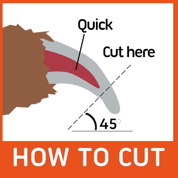 GoPets Pet Nail Clipper Bundle for Dogs and Cats with Large and Small Nail Trimmer with Free Nail File Grinder with Quick Guard and Angled Blades for Safety 2 Nail Cutter Bundle