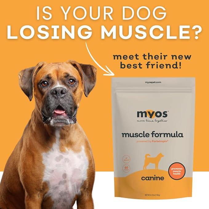 MYOS Canine Muscle Formula - All-Natural Muscle Building Supplement - Helps Reduce Muscle Loss in Aging Dogs and Improve Recovery from Injury or Surgery