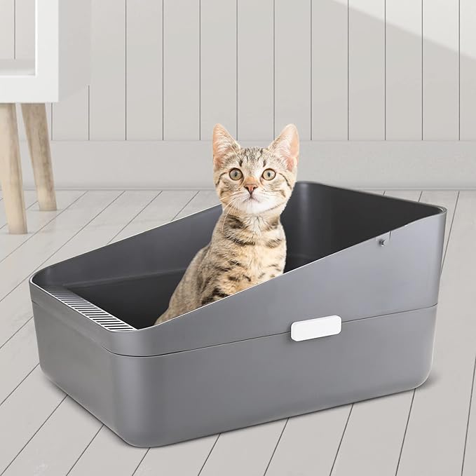 Sfozstra Cats Litter Box Low: Open Sifting Design -Tracking Space Saving - Grey Small Litter Box for Kittens up to 8 lbs