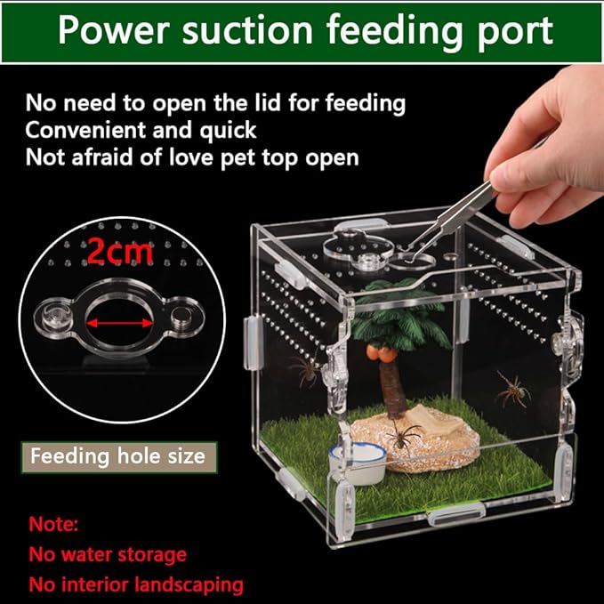 Reptile Terrarium,Tarantula Enclosure,Jumping Spider Enclosure for Tarantula Scorpion Sling Isopods Snail Reptile Invertebrates Accessories（4" X4 X4 ）