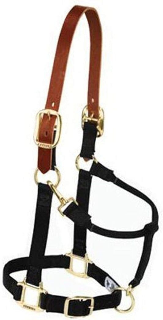 Weaver Leather Original Adjustable Nylon Horse Halter