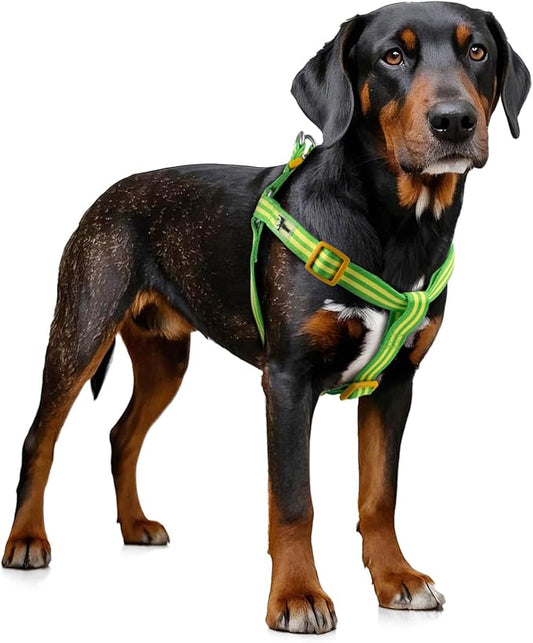 Stripe Step in Dog Harness for Small Dogs, Freedom Nylon Dog Halter Vests, Lightweight and Escape Proof Puppy Harness, Quick Fits for Small Medium and Large Dogs, Green M