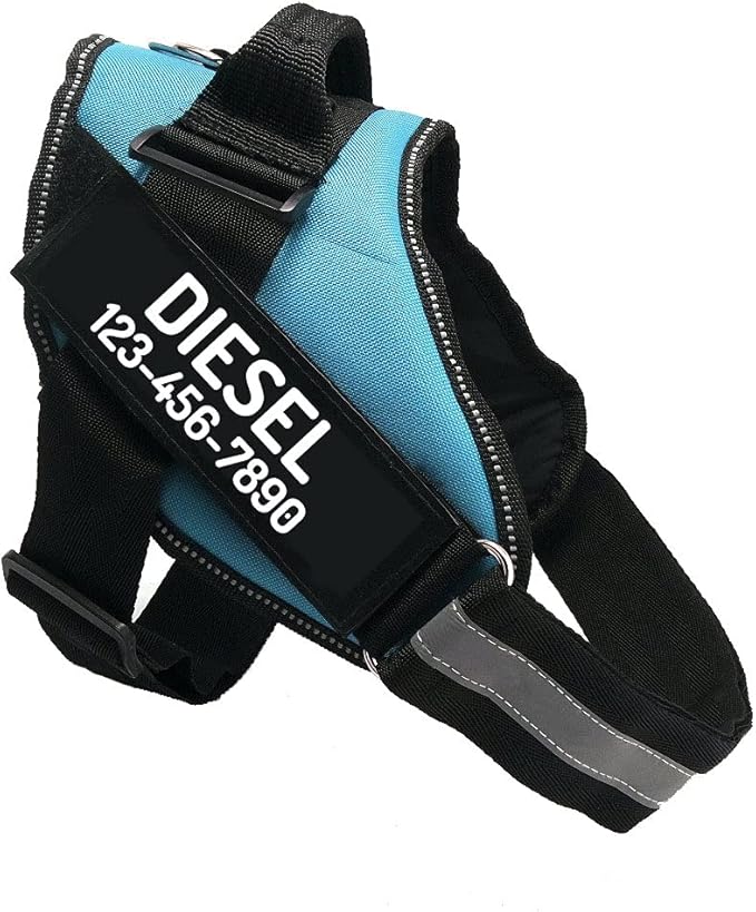 PawPawify Custom No Pull Dog Harness with Name and Phone Number, Heavy Duty Personalized Pet Vest to Prevent Tugging, Pulling, or Choking, Training and Walking (SkyBlue, XS (5-9LBS))