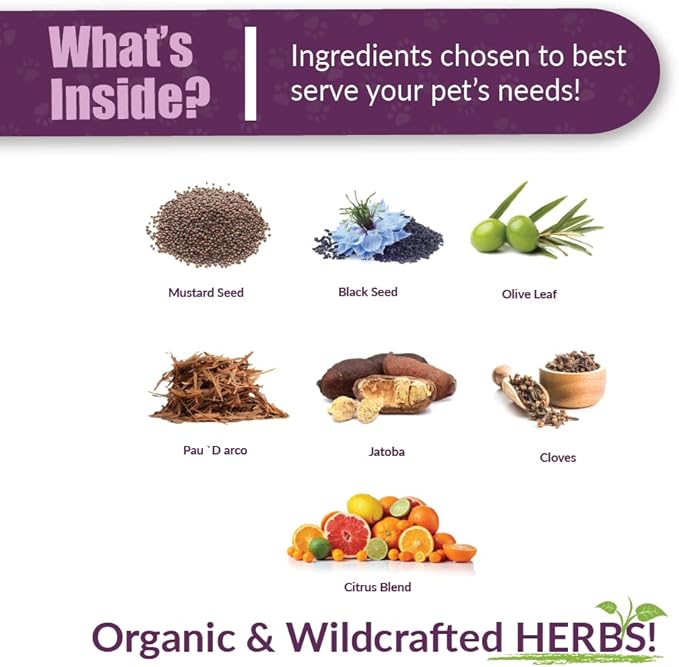 Amber NaturalZ Kochi Free Herbal Supplement for Dogs, Cats, Birds, Rabbits, and Guinea Pigs | Supports Healthy Bowel Function | Natural Aid for Digestive Balance | 4 Fluid Ounce Glass Bottle