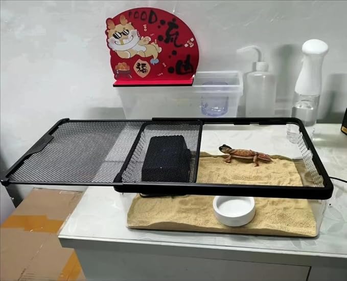 Reptile Feeding Box Snake cage Clear Terrarium for Snake Geckos Frog Lizards Chameleons Serpents Snake Scorpion Snail Insect Hermit Crab Isopods Reptiles Enclosure (12.6x8.6x3.9inch)