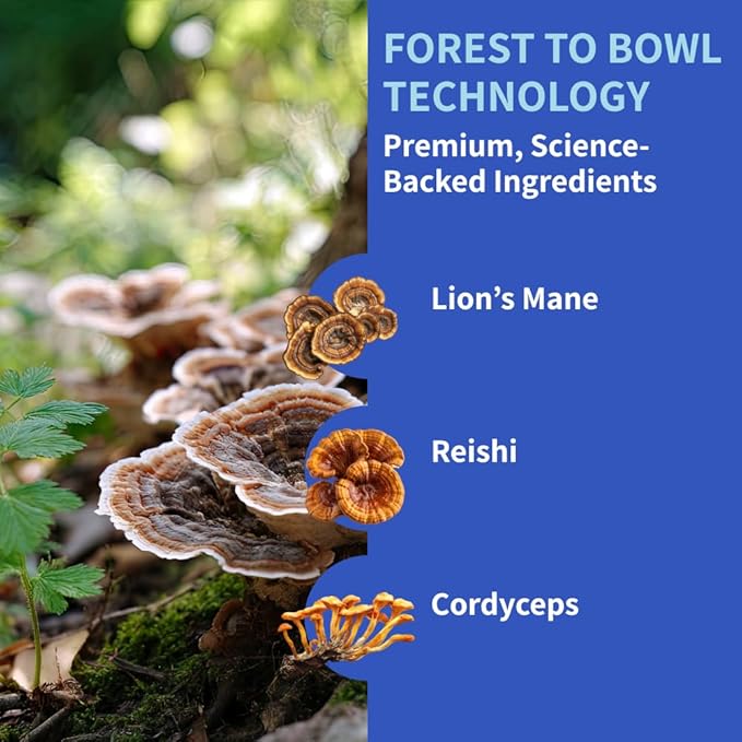 Dog Joint Supplement Powder with Glucosamine, Chondroitin & MSM – Hip & Joint Support for Mobility, Stiffness & Flexibility – Mushroom Blend with Lion’s Mane, Cordyceps & Reishi – Zoomy