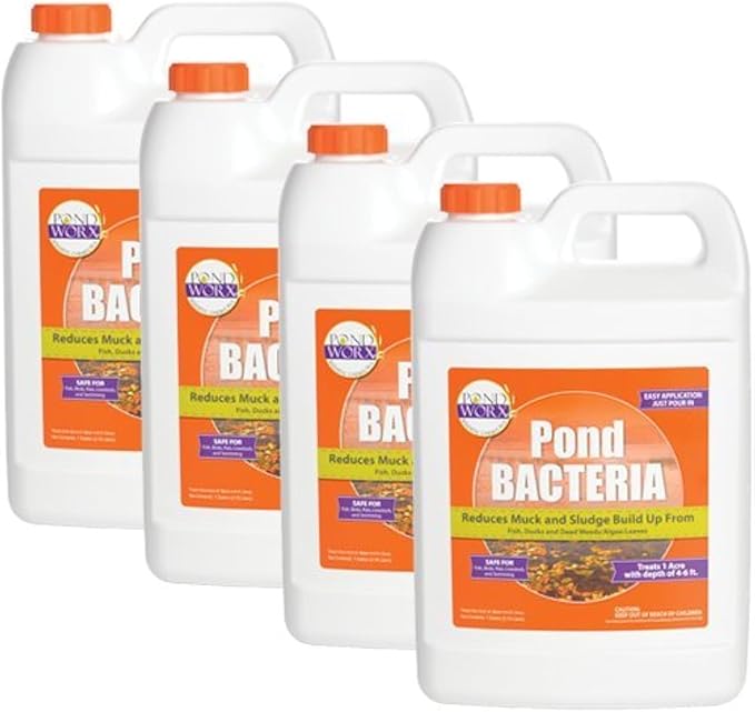 Pondworx Pond Bacteria - Formulated for Water Features and Safe for Koi (4 Gallon Value Pack)