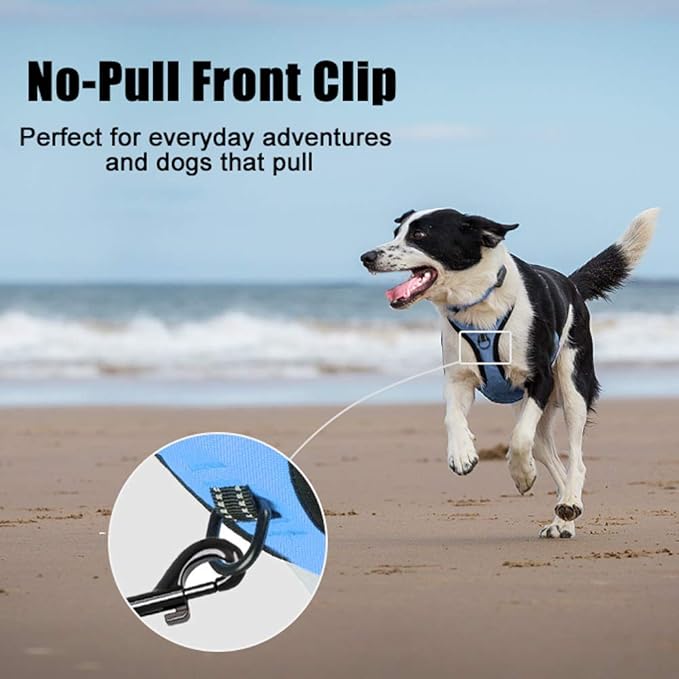 PoyPet No Pull Dog Harness, Reflective Comfortable Vest Harness with Front & Back 2 Leash Attachments and Easy Control Handle Adjustable Soft Padded Pet Vest for Small to Large Dogs (Light Blue,L)