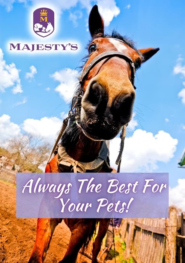 Majesty's PillEase Horse Treats | A Delicious Soft and Pliable No Bake Cookie Horse Treat | Makes Giving Pills & Medication Easy | Made in The USA - 48 Wafers