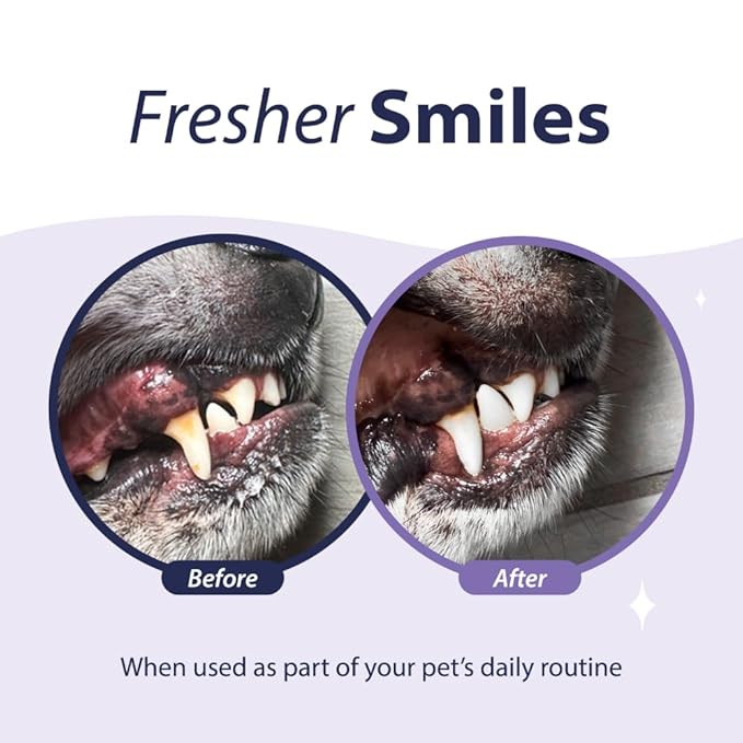 Dental Fresh Advanced Plaque and Tartar Water Additive, 8oz – Dog Teeth Cleaning Formula to Freshen Breath and Improve Overall Oral Health
