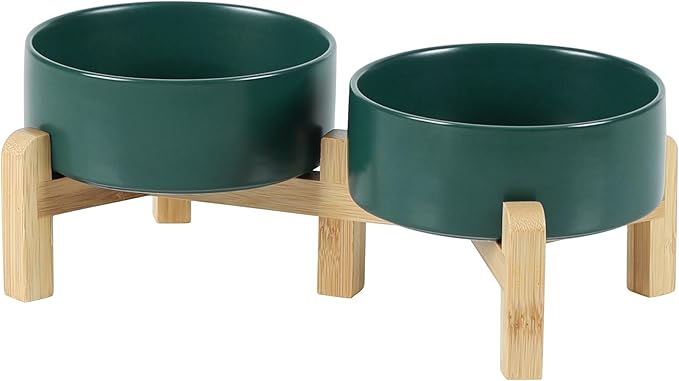Ceramic Raised Double Bowls Set with Stand, 2 Heights Elevated, Food & Water Bowls for Small Breed Dogs, Cats, Kitty, Weighted Dog Dishes, Pet Bowls(5.1'',13.5oz, Green)