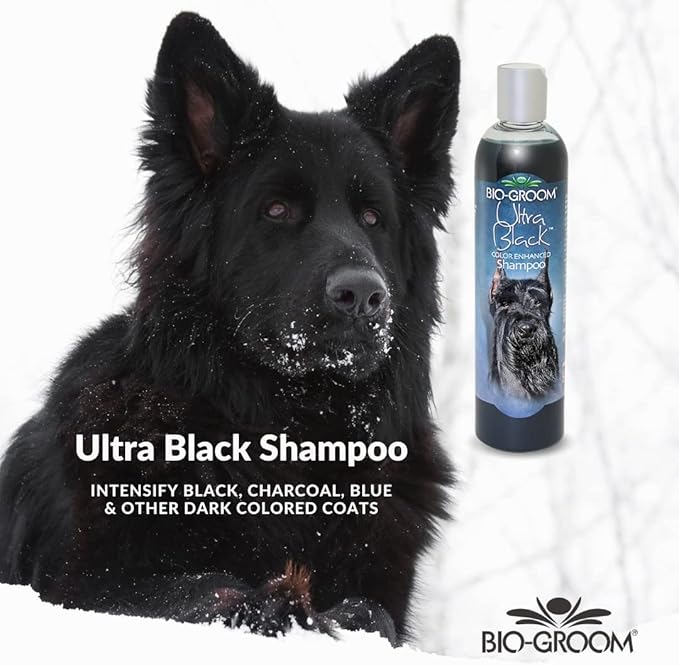 Bio-Groom Ultra-Black Dog Shampoo – Color Enhancing Pet Shampoo, Dog Bathing Supplies, Puppy Wash, Dog Grooming Supplies, Cruelty-Free, Made in USA, Coat Brightener Shampoo – 12 fl oz 1-Pack