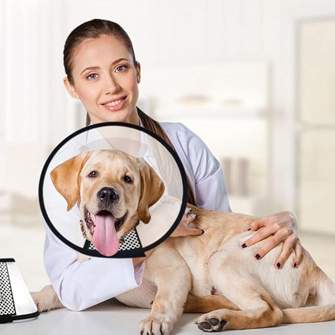 Plastic Pet Recovery Collars & Cones for Dogs and Cats After Surgery Adjustable Dog Neck Cone Surgical Elizabeth E-Collar Prevent Biting and Stop Licking Wound (L)