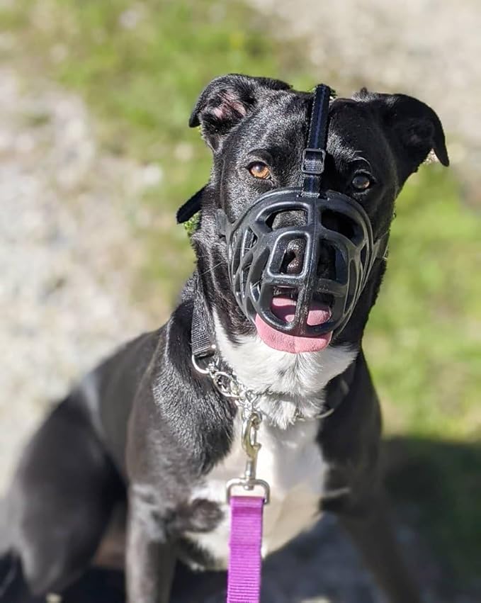 Mayerzon Dog Muzzle, Breathable Basket Muzzles for Small, Medium, Large and X-Large Aggressive Dogs Beagle German Shepherd Doberman, Cage Mouth Guard Stop Biting Chewing for Grooming Training