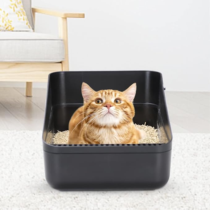 Sfozstra Open Litter Box, High Side Sifting, Secure and Odor Control, Removable, Easy to Clean for Cats Up to 8 Pounds (Black Small)