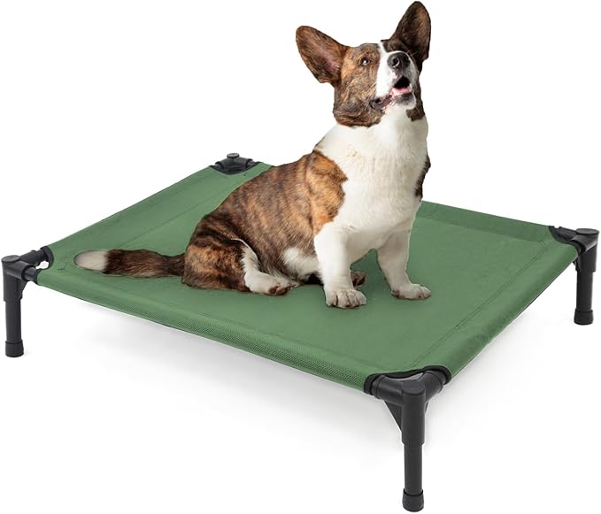 Elevated Dog Bed for Medium Dogs, Raised Cot Fits Up to 150 LBs, Heavy Duty With Durable Supportive Teslin Recyclable Washable Mesh, Indoor & Outdoor Use, Green