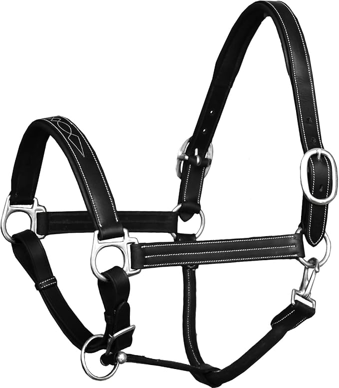 Exion Leather Horse Halter with Fancy Stitching | Black & Brown Padded Halter with Silver Brass Hardware | Quick-Release Snap | Adjustable Leather Halter – Cob, Full, Over, Pony Sizes