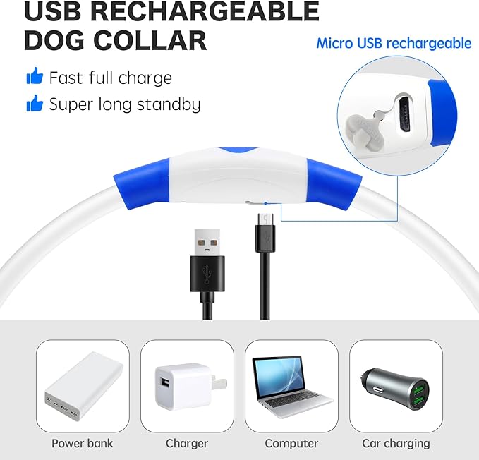 BSEEN Light Up Dog Collar, High Visibility LED Dog Collar Rechargeable- Rainproof TPU Cuttable Glowing Pet Collar for Small Dogs & Cats - Puppy Safety Lights for Night Walking (XS- Blue 40cm)