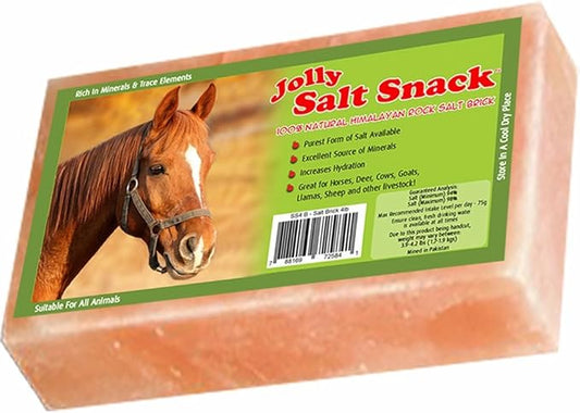 Horsemen's Pride 100% Himalayan Salt Brick, 4 Pounds