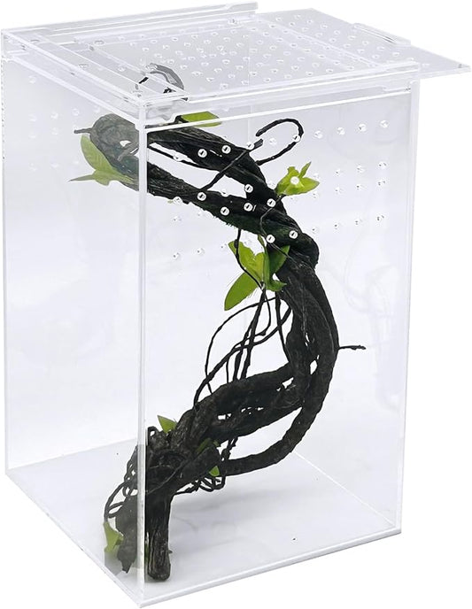 Reptile Terrarium Enclosure 6"x6"x10" Tall Acrylic Tarantula Breeding Box Magnetic Hermit Crab Habitat Vertical Tank Transparent Jumping Spider Cage for Insect Mantis Scorpion Sling Isopods