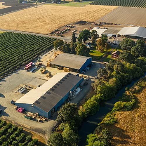 Blue Mountain Hay | Fresh Teff Grass Hay (40 Ounce) | Low NSC, High Fiber, Healthy Weight Management | High-Altitude Hay Pet Food for Rabbits, Guinea Pigs, Chinchillas, Hamsters, and Other Small Pets