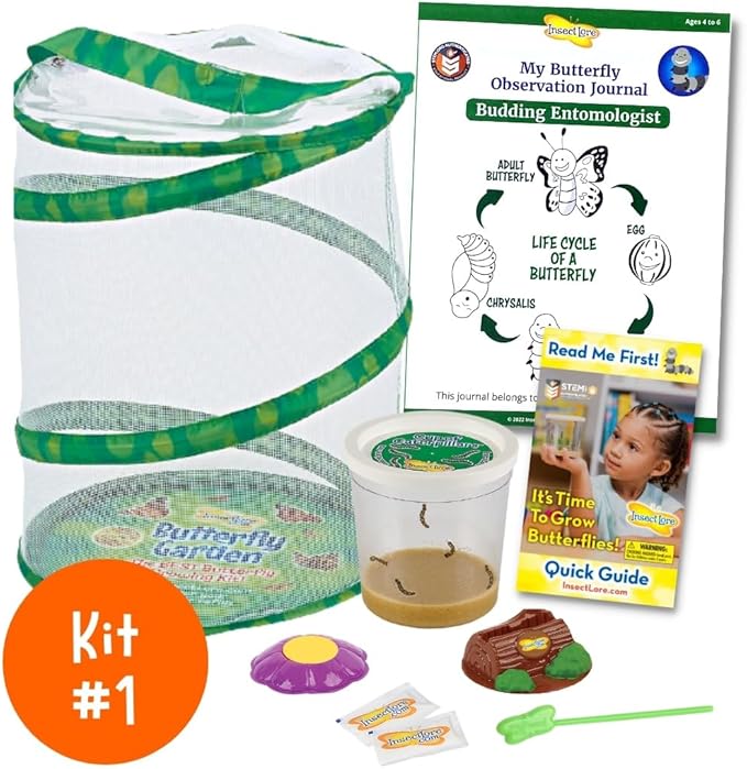 Insect Lore Bug Camp Bundle | Butterfly Kit with 1 Cup Live Caterpillars | Ladybug Land with 1 Tube Live Larvae | Ant Mountain with 1 Tube Live Western Harvester Ants | Life Cycle Figurines & More