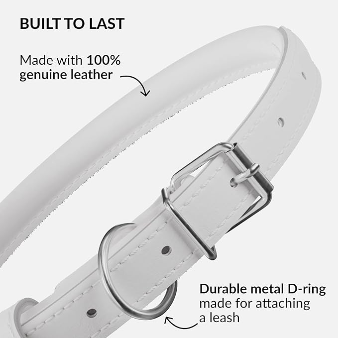CollarDirect Rolled Leather Dog Collar, Soft Padded Round Puppy Collar, Handmade Genuine Leather Collar Dog Small Large Cat Collars 13 Colors (6 Inch, White Smooth)