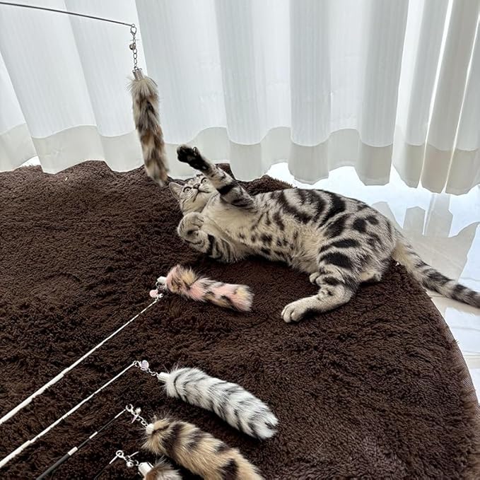 Interactive Cat Wand Toy with Cat Dancer, Retractable Feather Fox Tail Teaser for Indoor Cats, Enrichment Play Kittens to Senior Cats(Arctic White)