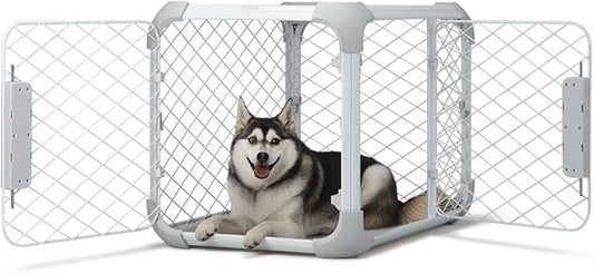 DIGGS Evolv Dog Crate - Slim, Durable Dog Kennel with Removable Ceiling Panel and Modular Design - Safe, Stylish, and Convenient (Ash, Medium)