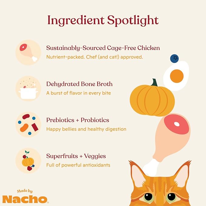 Made by Nacho Dry Cat Kibble 4lb Bag, High Protein and Grain-Friendly Premium Cat Food, Cage-Free Chicken & Pumpkin Recipe, Infused with Bone Broth for Hydration, Limited Ingredients, Single Bag