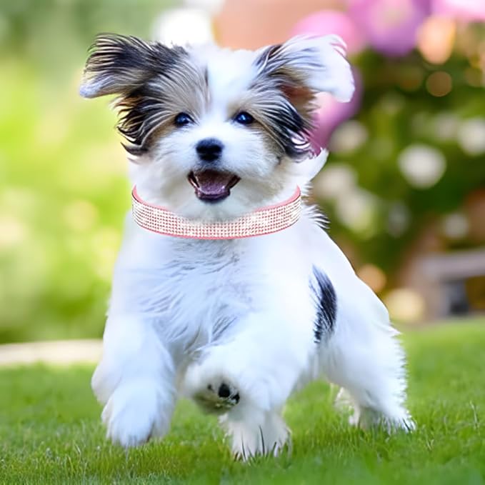 Rhinestone Dog Collar for Small Dogs, Bling Diamond Fancy Crystal Glitter Pretty Jewel Pet Puppy Collars for XXS XS Small Medium Large Breed Girl Dogs Female Cats Kitten, Hot Pink M