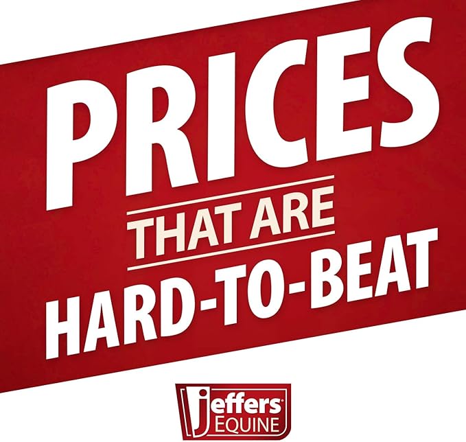 Jeffers Classic Steel Bucket Holder – Heavy Duty Safe Hook for 20 Quarts Buckets, Water or Feed – Mounts on Barn, Stable, Fence – Pet, Farm, Horse, Livestock Use – Top Organizer Gift