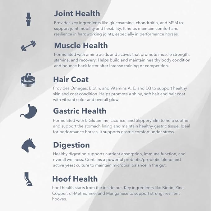 MVP Exceed 6-Way (16lb) High Level Performance Horse Support Pellets. Joint, hoof, Hair, gastric, Digestion and Muscle Support.