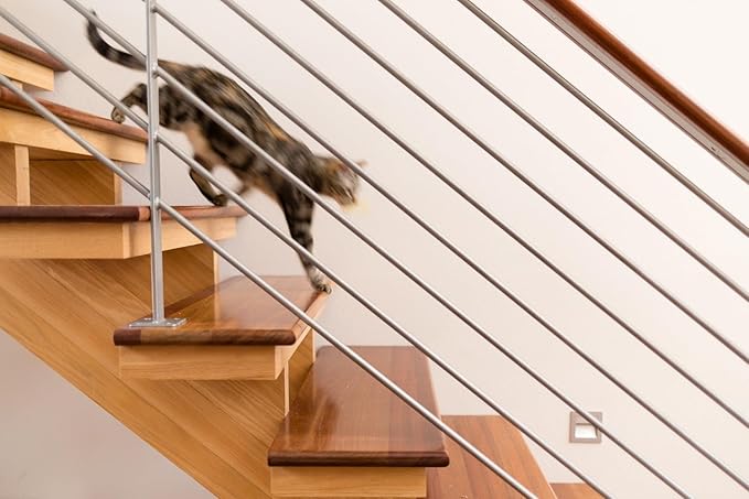 InClover Connectin Natural Hip & Joint Supplement for Dogs with Glucosamine, Chondroitin & Hyaluronic Acid - Powder for Dog Mobility, Comfort & Active Lifestyle Support, 3.oz