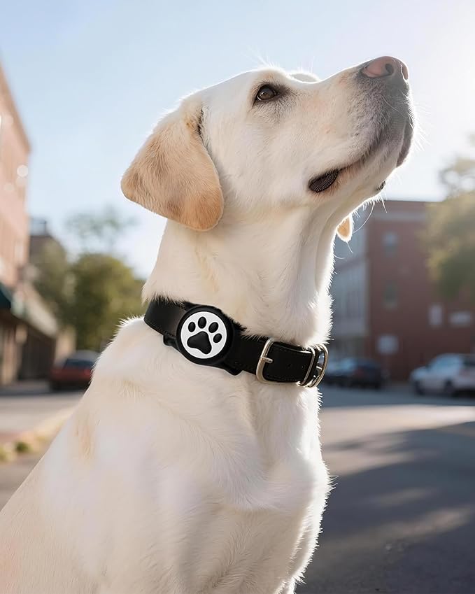 IP68 Waterpoof Dog Airtag Holder, Stretchy Silicone Full Body Covered Apple Air Tag Holder for Dog Cat Collar Fit All Width Collar (2* Black, 2 Pack)