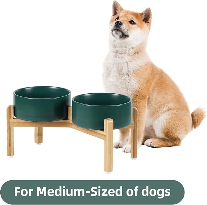 Ceramic Raised Double Bowls Set with Stand, Food & Water Bowls for Medium Breed Dogs, Weighted Dog Dishes, Pet Bowl(7.3'',41OZ, Green)